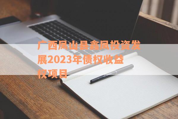 广西凤山县鑫凤投资发展2023年债权收益权项目