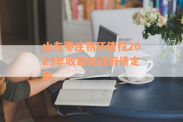 山东枣庄物环债权2023年收益权政府债定融