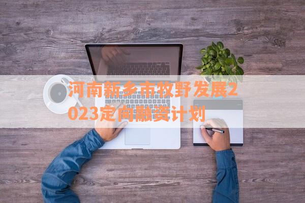 河南新乡市牧野发展2023定向融资计划