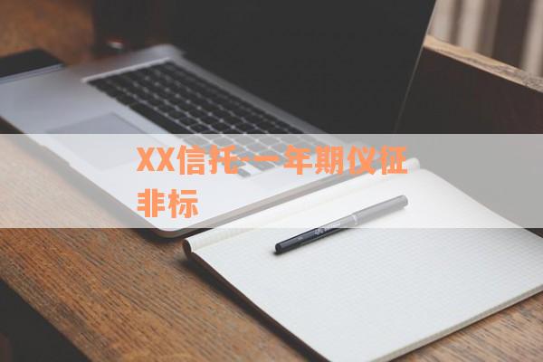 XX信托-一年期仪征非标