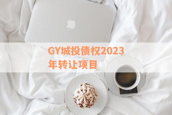 GY城投债权2023年转让项目