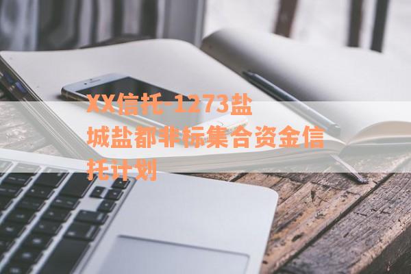 XX信托-1273盐城盐都非标集合资金信托计划