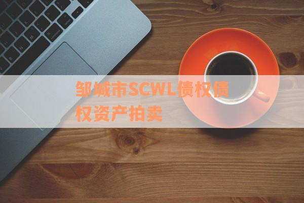 邹城市SCWL债权债权资产拍卖