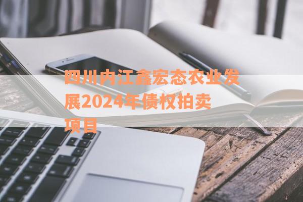 四川内江鑫宏态农业发展2024年债权拍卖项目