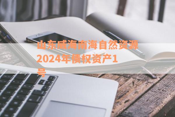 山东威海南海自然资源2024年债权资产1号