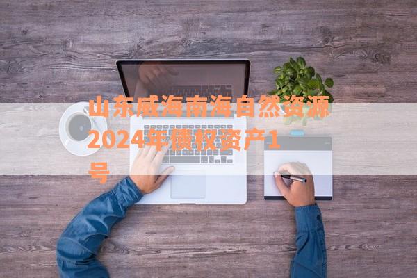 山东威海南海自然资源2024年债权资产1号