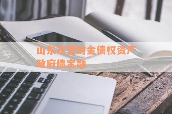 山东东营财金债权资产政府债定融