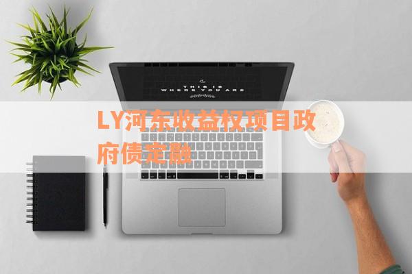 LY河东收益权项目政府债定融